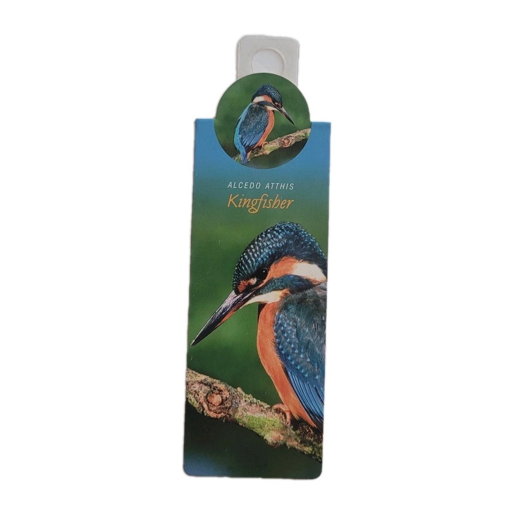 Cardmarks Kingfisher Bird Wild Nature Magnetic Magnet UK Company If 2402 Y2k 00s